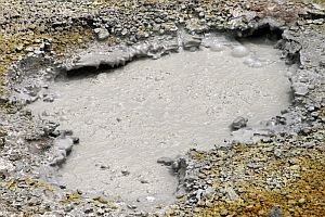 Blubbernder Schlamm bei Furnas, São Miguel (Azoren)