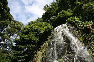 Wasserfall bei Achada, São Miguel (Azoren)