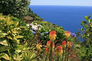 Ponta do Sossego, São Miguel (Azoren)